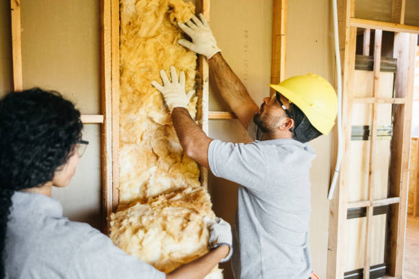 Best Wall Insulation Installation  in Knik Fairview, AK